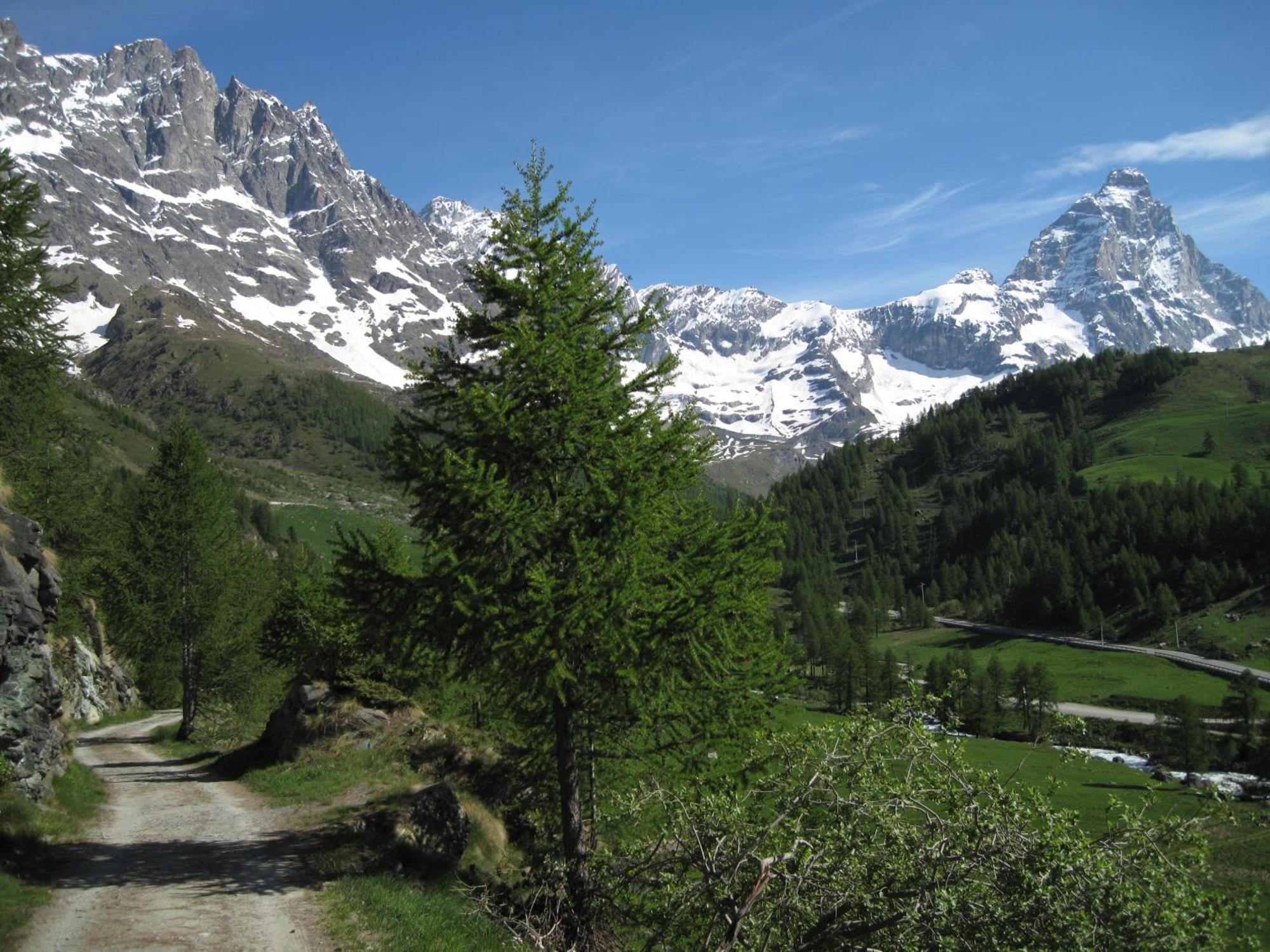 Hotel Meublè Meridiana Valtournenche Extérieur photo